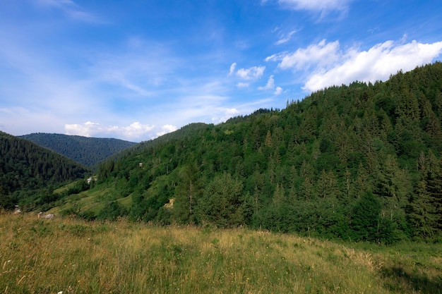 Carpathian mountains in the summer