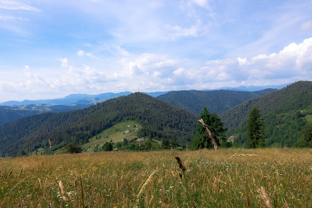 Carpathian mountains in the summer