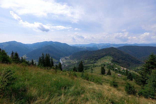 Carpathian mountains in the summer