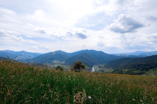 Carpathian mountains in the summer