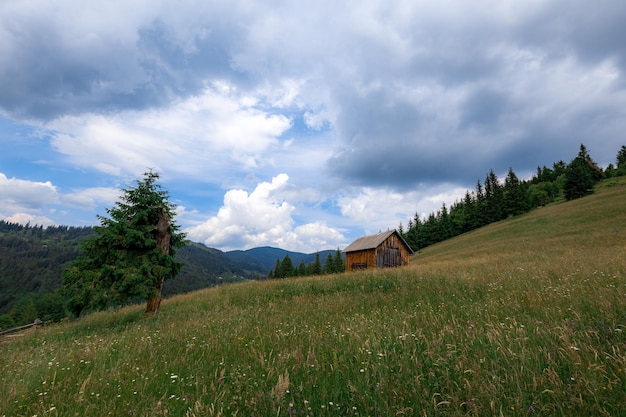 Carpathian mountains in the summer