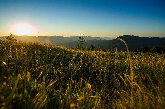 Carpathian mountains sunset