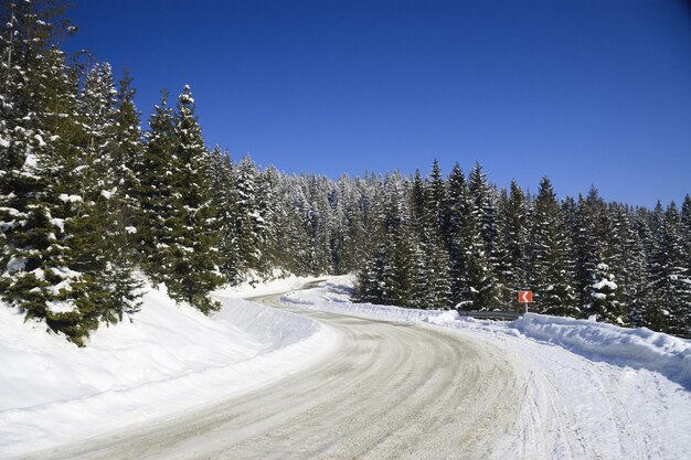 Carpathian mountains Ukraine Beautiful scenery of snowy mountains