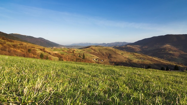 Carpathian mountains Ukraine Mountains during sunset Beautiful natural landscape in the summer time