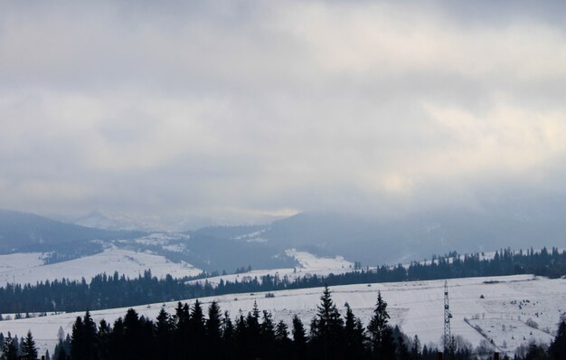 ウクライナのカルパティア山脈。冬の風景