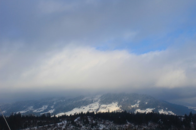 Carpathian mountains in Ukraine. Winter landscape