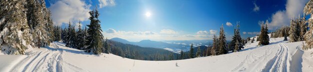 カルパティア山脈ウクライナ山頂を背景にした素晴らしい雪に覆われたもみ絵のように美しい雪に覆われた冬の風景のパノラマビューゴージャスで静かな晴れた日