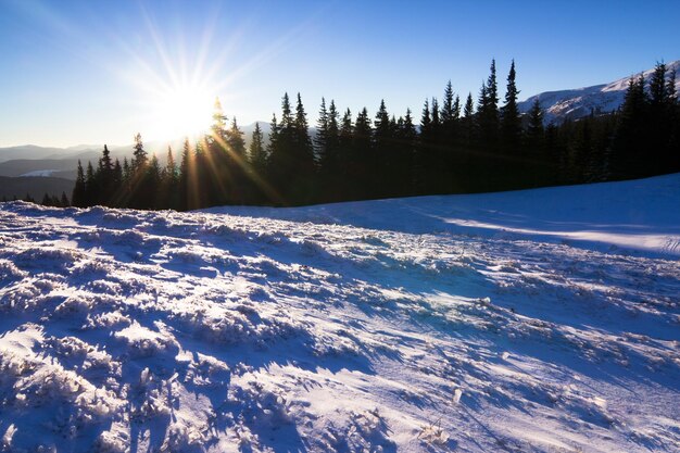 Carpathian mountains in winter Winter landscape taken in mountains