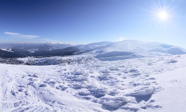 겨울의 카르파티아 산맥 산에서 찍은 겨울 풍경