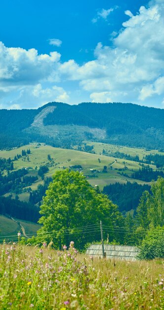 Carpathian mountains