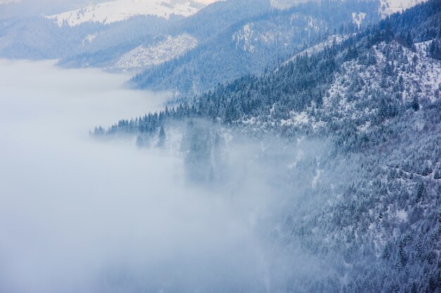 Carpathian winter mountains