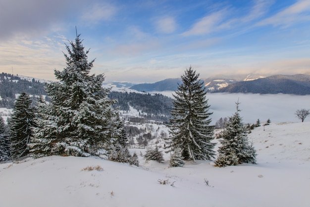 Carpathian winter mountains