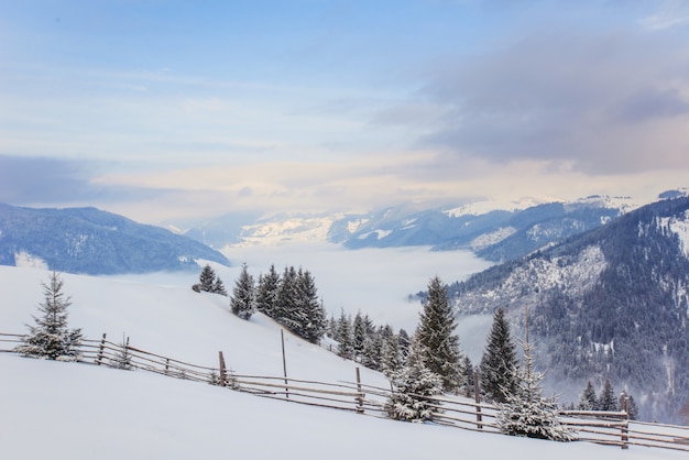 Carpathian winter mountains