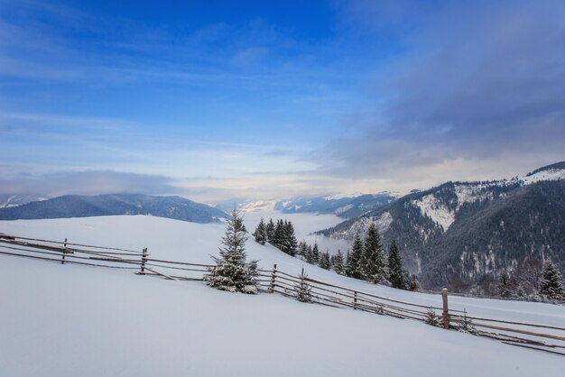 Photo carpathian winter mountains