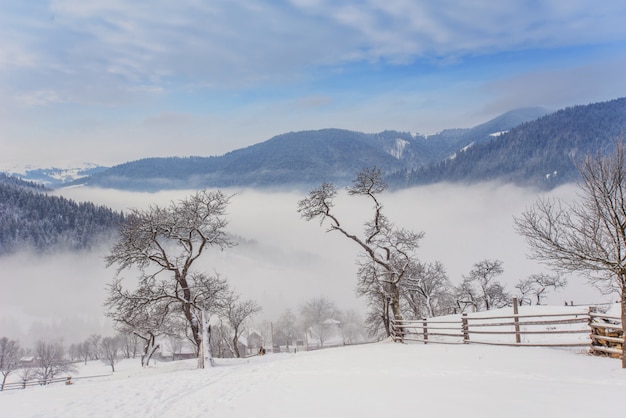 Carpathian winter mountains