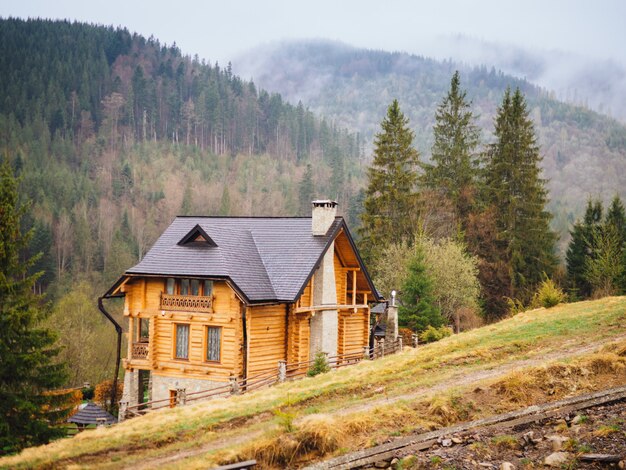 Карпаты Дземброня
