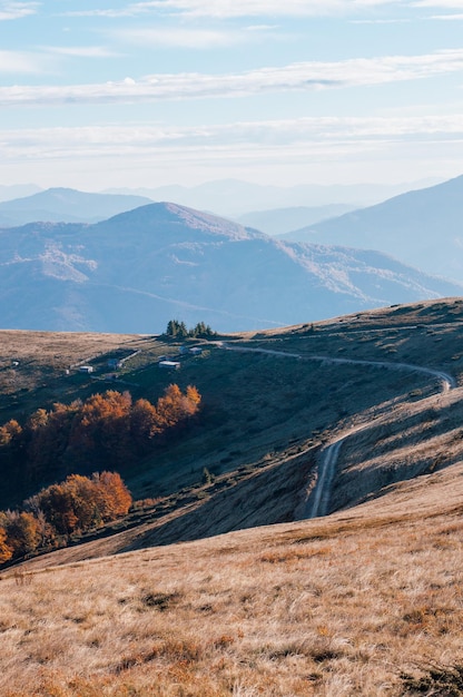 Carpathians Highland with giant forestry mountains and grassy hills