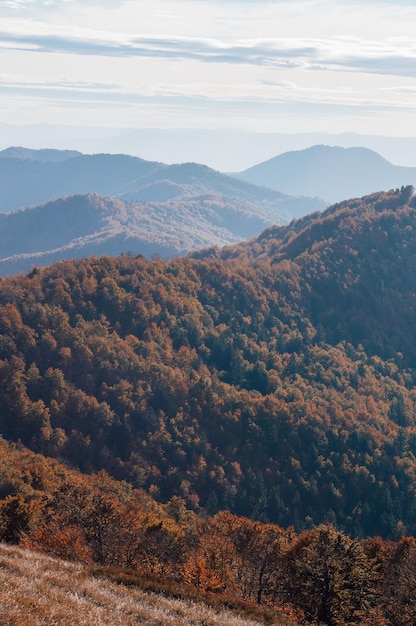 Карпатское нагорье с гигантскими лесными горами и травянистыми холмами