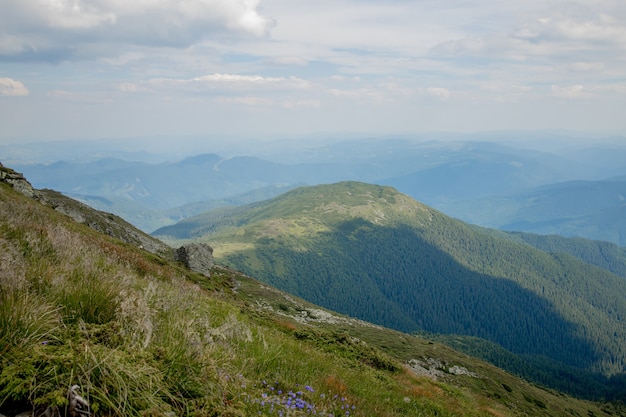 사진 여름 아침에 carpathians 산맥