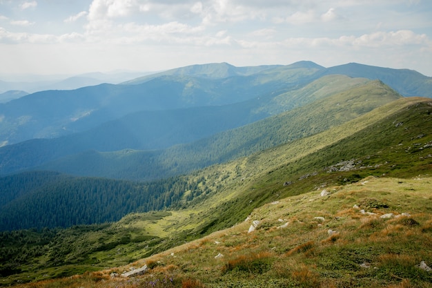 여름 아침에 Carpathians 산맥