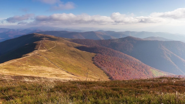 Carpathians Pylypets Ukraine Mountain cloud top view landscape Timelapse of the MaguraDzhide mountain range in the Carpathians from the air Mount Gemba Shipit Karpat