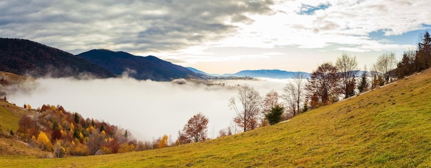 Carpathians Ukraine아름다운 푸른 하늘과 푹신한 하얀 안개를 배경으로 하얀 서리로 덮인 얼어붙은 풀