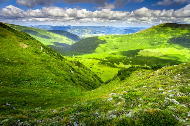 Paesaggio estivo dei carpazi.