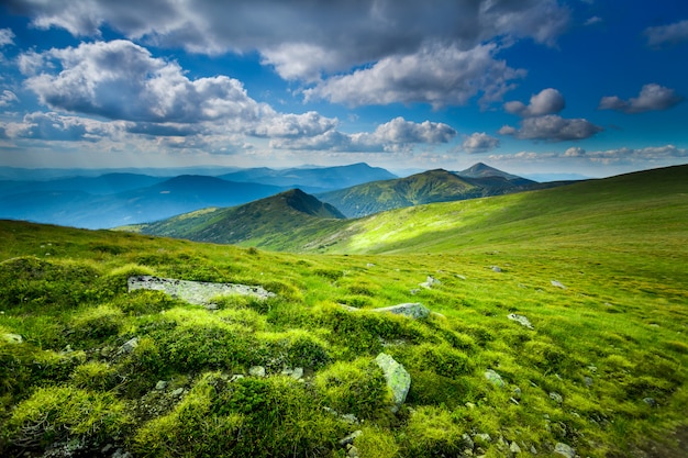 Photo carpatian summer landscape.