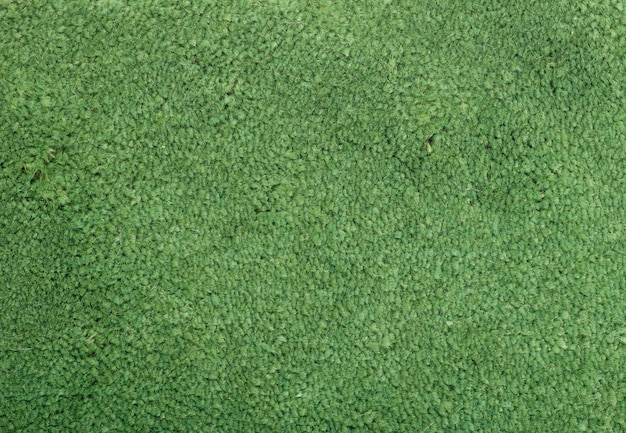 Photo carpet covering background.
