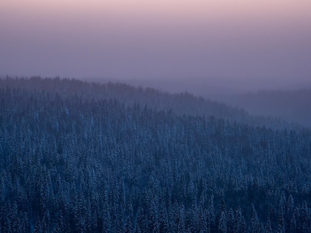 사진 새벽 핑크색 얼음 안개 아래 눈 인 바위 숲의 카