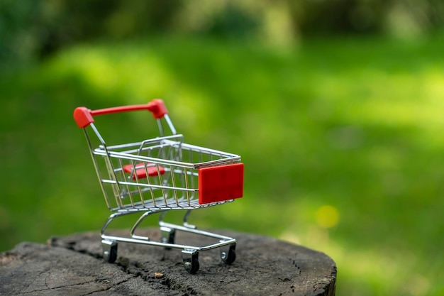 carrito de compras con fondo de naturaleza desenfocado