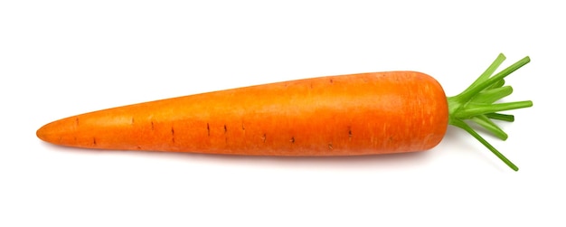 Carrot isolated on white background Creative healthy food concept Nature juice Top view flat lay