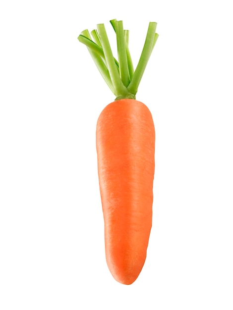 Carrot isolated on a withe background