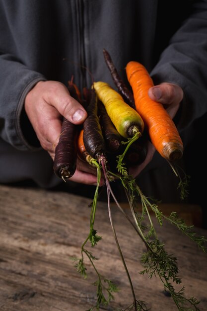 Photo carrot in male hands