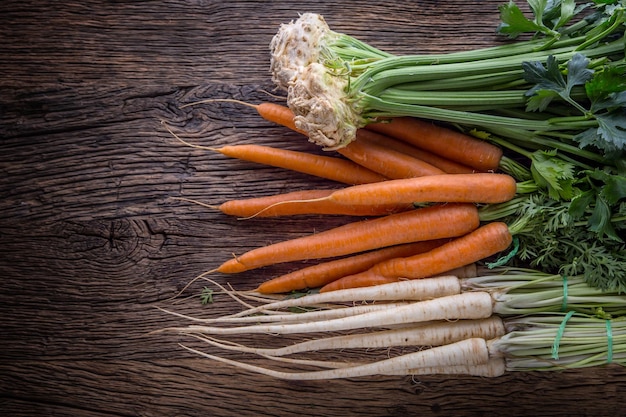 Photo carrot parsnip celery celery carrot and parsnip on rustic oak table