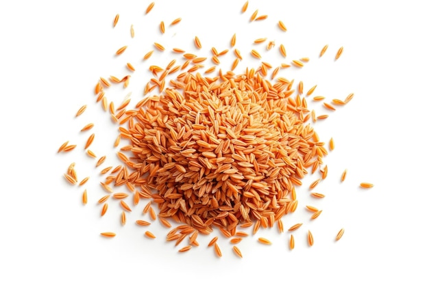 Carrot seeds heap on white background