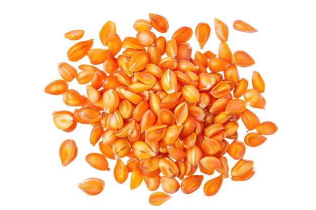 Photo carrot seeds in pile on white background