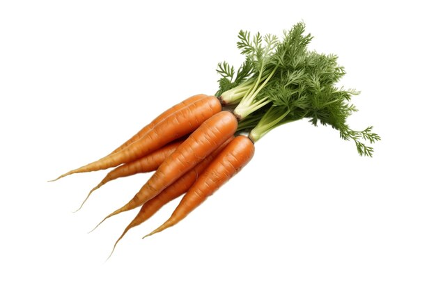 Carrot Vegetable Ingredient Isolated on a transparent Background Generative Ai