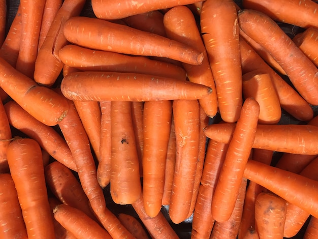 Photo carrot