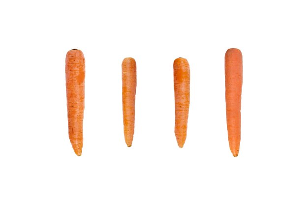 Photo carrots isolated in vertical postiion without leaves