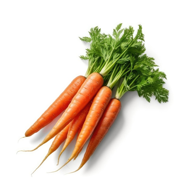 Carrots isolated on white background generative AI