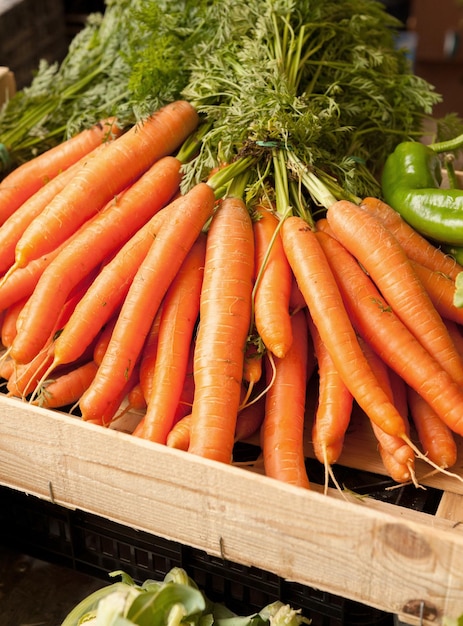 Carrots in the market ideal for backgrounds