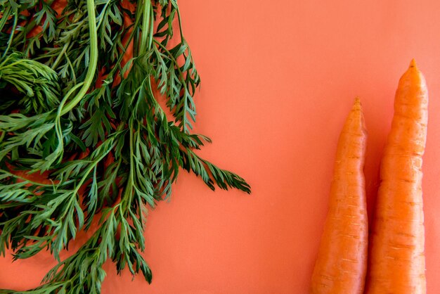 Photo carrots on orange background top view.