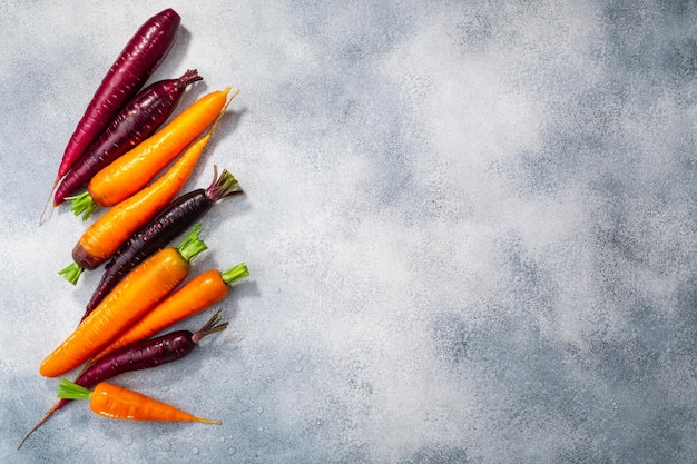 Carrots orange and purple anthocyaninrich on washed concrete backdrop top view