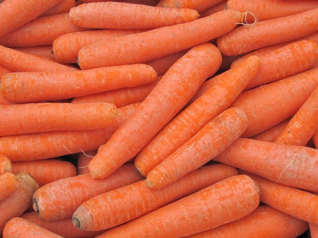 Carrots raw collection