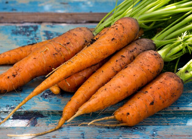 Carrots on a vintage wooden background