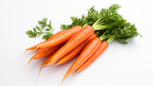 carrots on white background