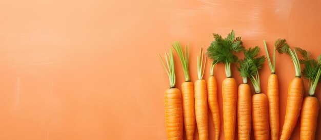 Photo carrots without skin against a isolated pastel background copy space