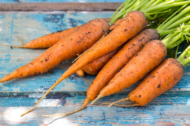 Carrots