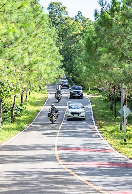 写真 丘陵で湾曲したアスファルト道路の車とオートバイ道路の両側に松の木がある